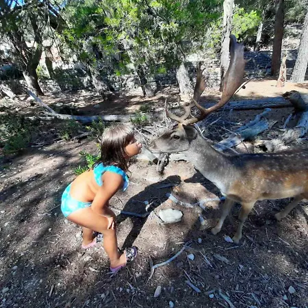 Ana I Predrag -lopar * 로파르