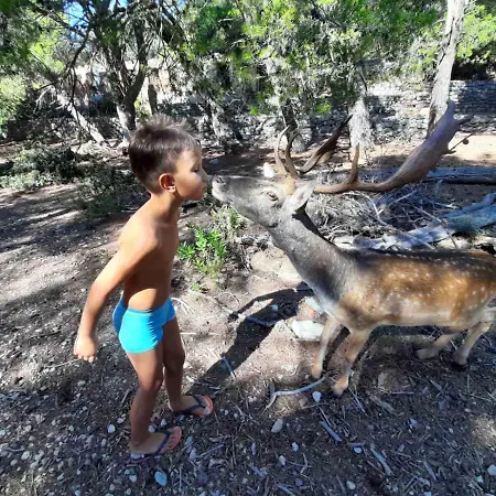 아파트 Ana I Predrag -lopar