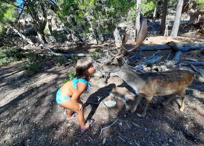 Ana I Predrag -lopar * 洛帕